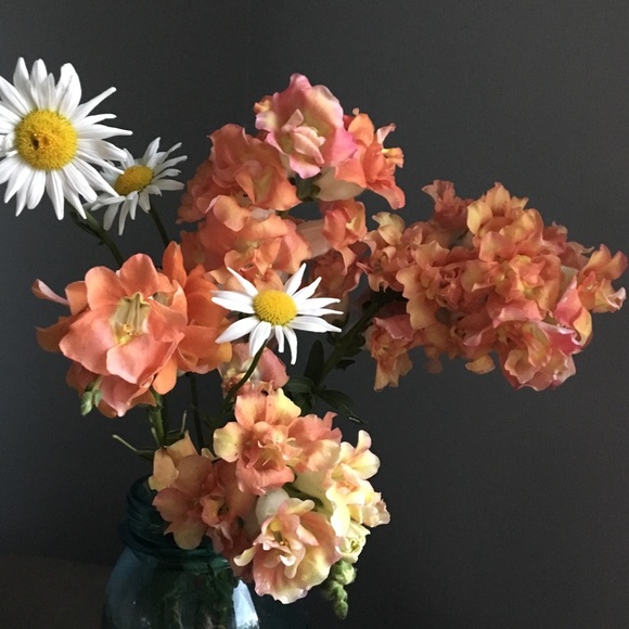 Meet your Posher, Kimberly - Picture 1 of 3